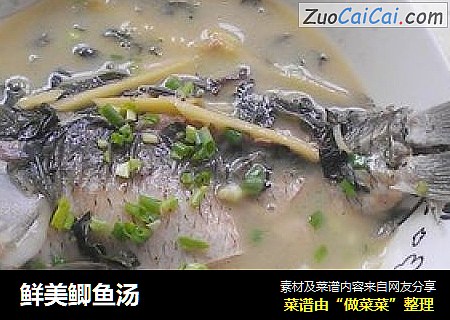 鲜美鲫鱼汤