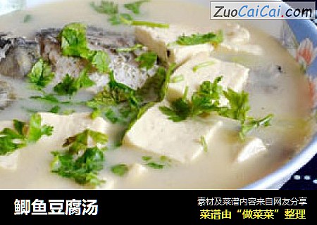 鲫鱼豆腐汤