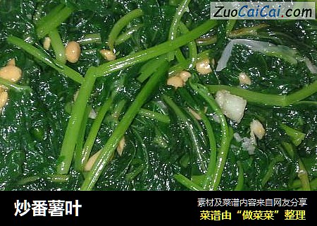 炒番薯叶