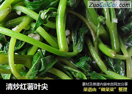 清炒红薯叶尖