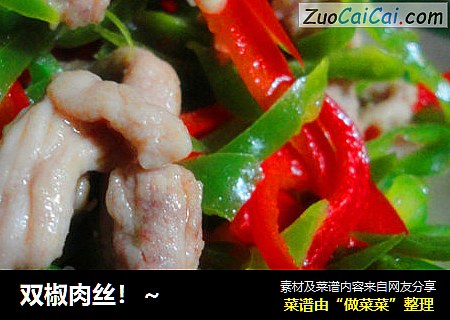 双椒肉丝cover-3
