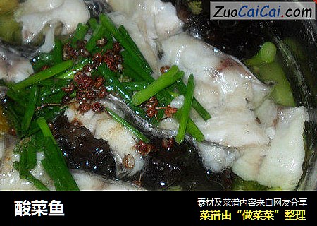 酸菜鱼