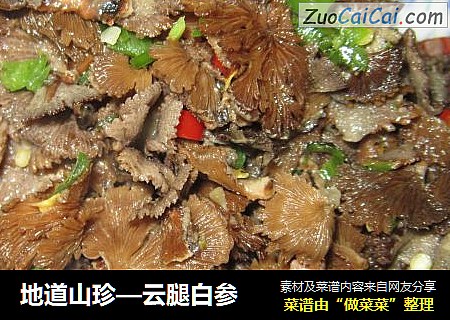 地道山珍—云腿白参