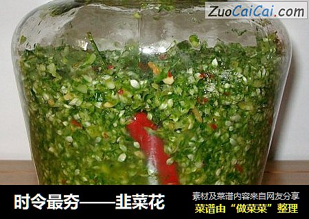 时令最夯——韭菜花