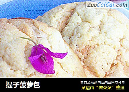 提子菠萝包