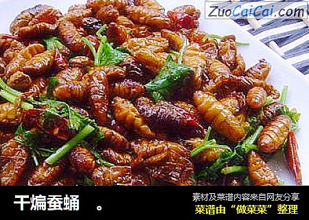 干煸蚕蛹　。