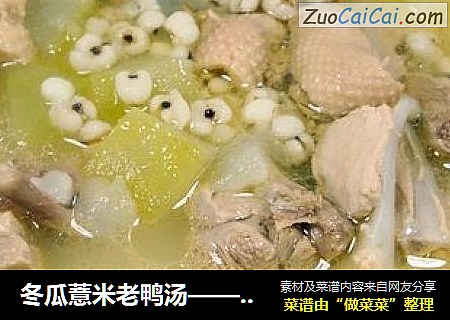 冬瓜薏米老鸭汤——汤鲜味醇、老少皆宜