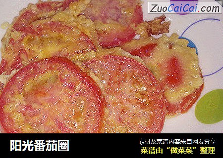 阳光番茄圈