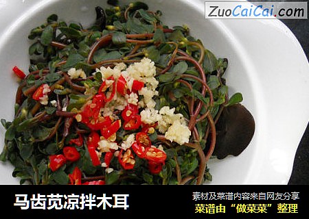马齿苋凉拌木耳