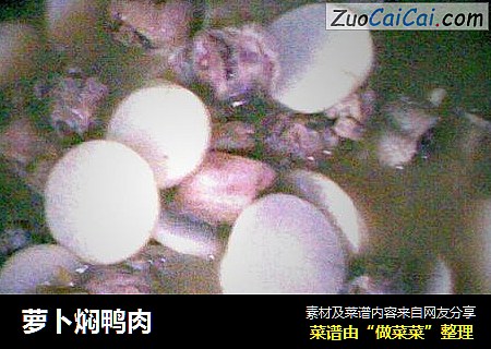 萝卜焖鸭肉