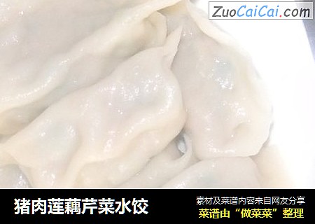 猪肉莲藕芹菜水饺