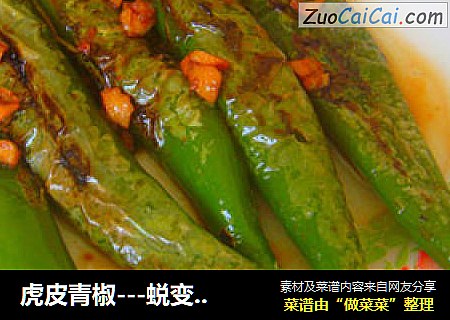 虎皮青椒---蜕变的滋味