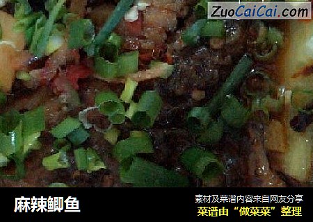 麻辣鲫鱼