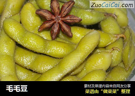 毛毛豆