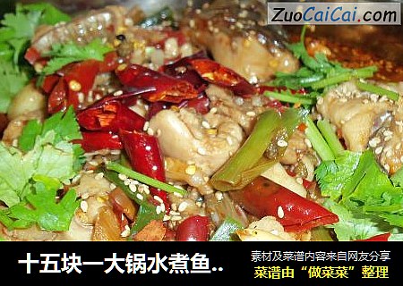 十五块一大锅水煮鱼，香喷喷一起动手做，comeon,筒子们，健康美食自己来