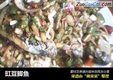 豇豆鲫鱼