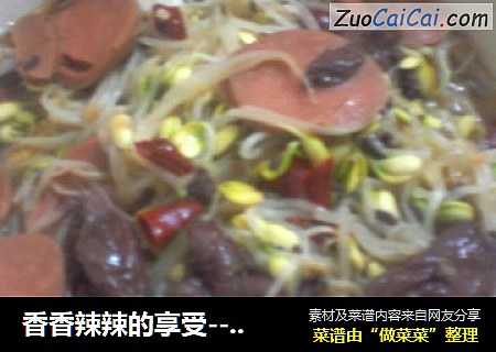 香香辣辣的享受-----家庭自制简易毛血旺