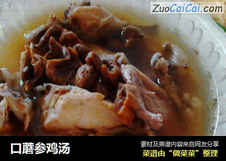 口蘑参鸡汤