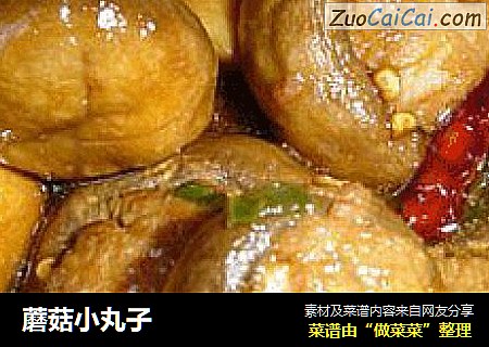 蘑菇小丸子