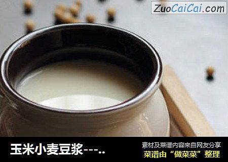 玉米小麦豆浆---对小盆友虚汗、盗汗有很好辅助调养作用的豆浆。