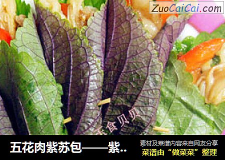 五花肉紫苏包——紫苏系列6