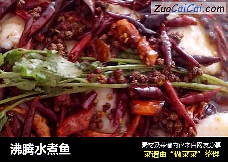 沸腾水煮鱼