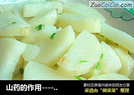 山药的作用-----清淡山药