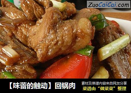 【味蕾的触动】回锅肉