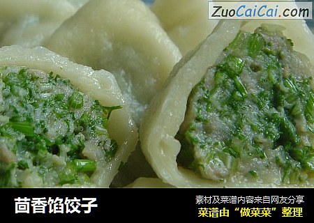茴香馅饺子