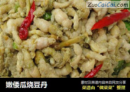 嫩倭瓜烧豆丹