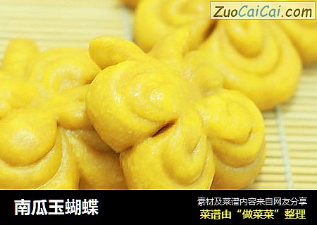 南瓜玉蝴蝶