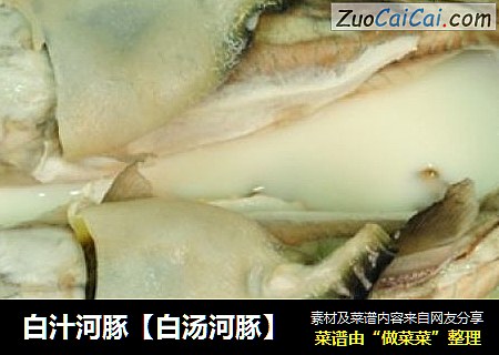 白汁河豚【白汤河豚】