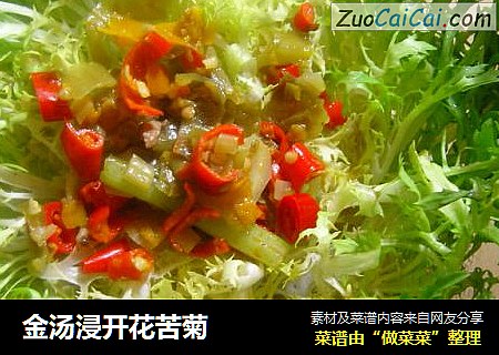 金汤浸开花苦菊