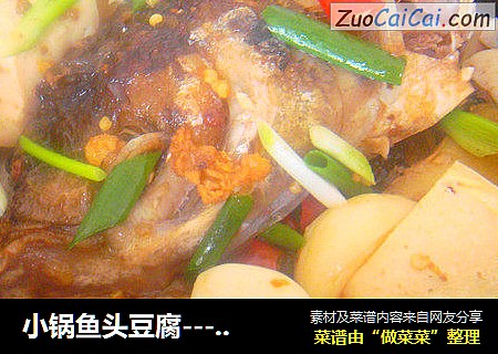 小锅鱼头豆腐---小妞家庭版