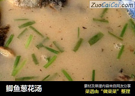 鲫鱼葱花汤