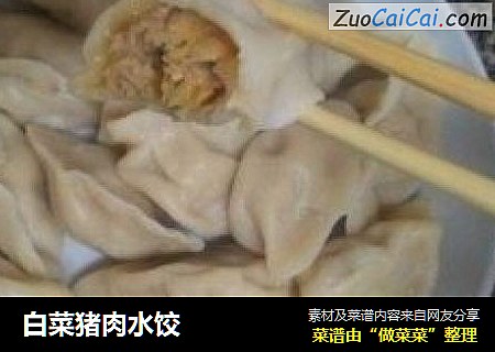 白菜猪肉水饺