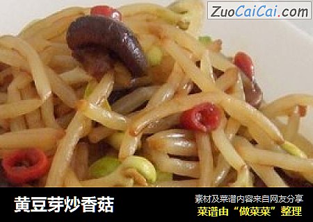 黄豆芽炒香菇