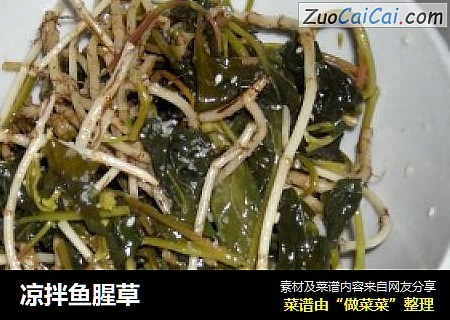 凉拌鱼腥草