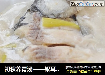 初秋养胃汤——银耳莲子鲫鱼汤