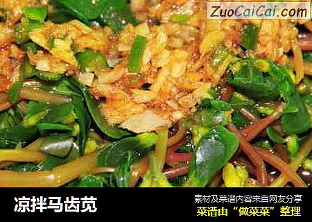 凉拌马齿苋