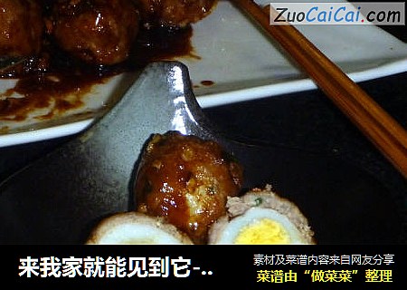 来我家就能见到它-焦溜丸子