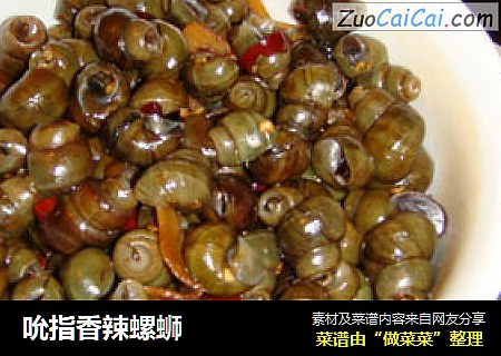 吮指香辣螺蛳