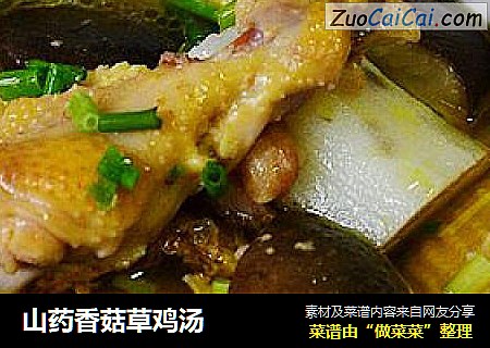 山药香菇草鸡汤