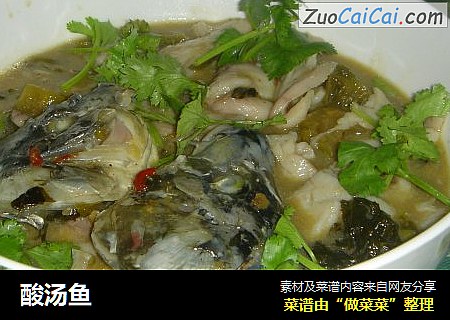 酸汤鱼