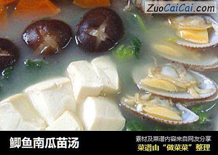 鲫鱼南瓜苗汤
