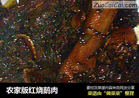 农家版红烧鹅肉