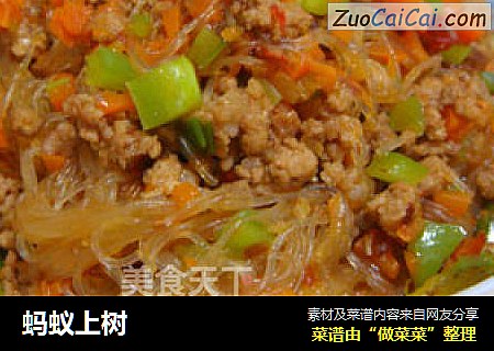 蚂蚁上树