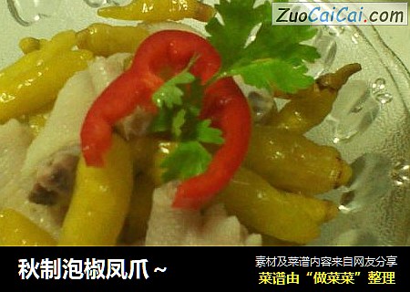 秋制泡椒凤爪～