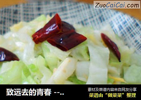 致远去的青春 --- 【炝炒圆白菜】