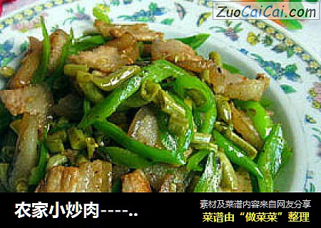农家小炒肉-----家常菜